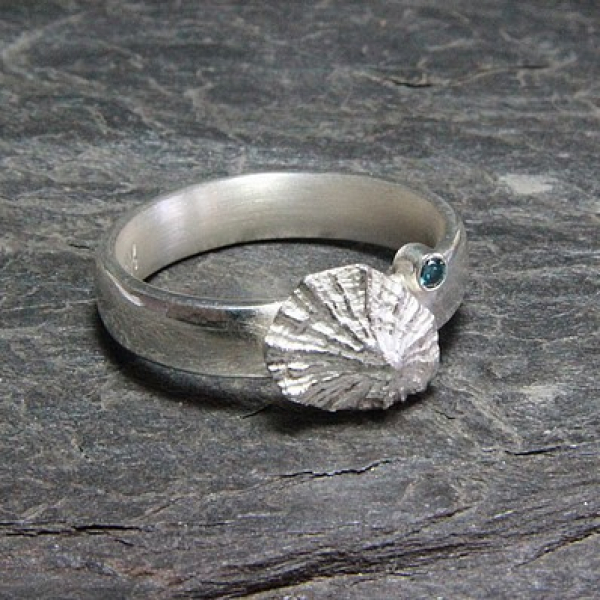 Ring Ocean