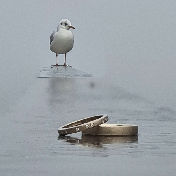 Er liebt mich, er liebt mich nicht