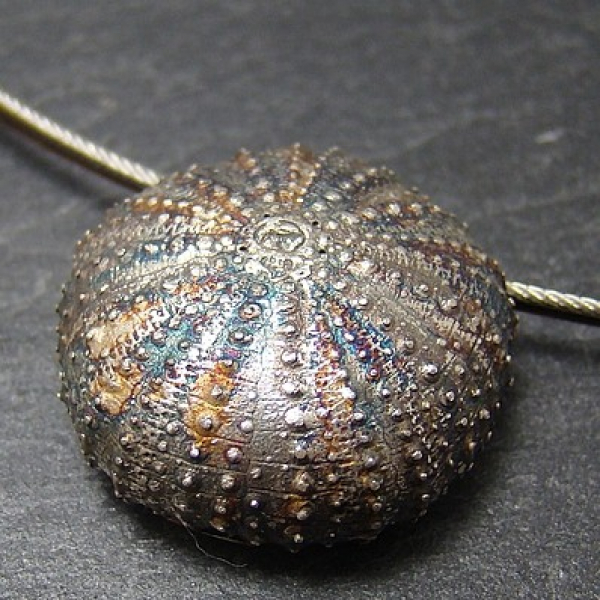Seeigel Anhaenger